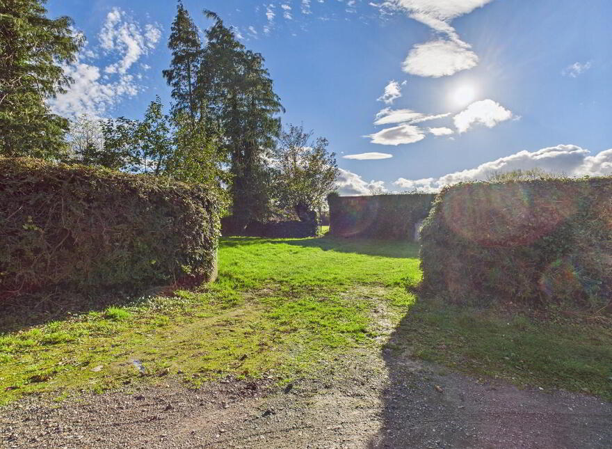 Ballygarret, Carrick On Suir, E32P799