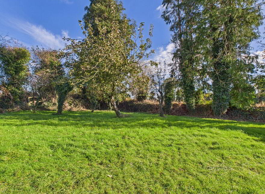 Ballygarret, Carrick On Suir, E32P799