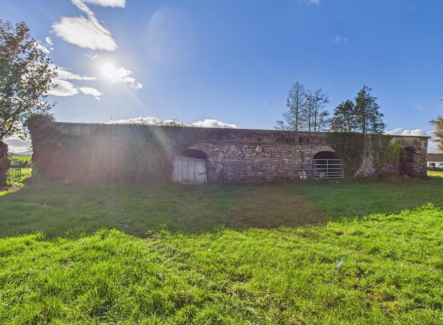 Ballygarret, Carrick On Suir, E32P799