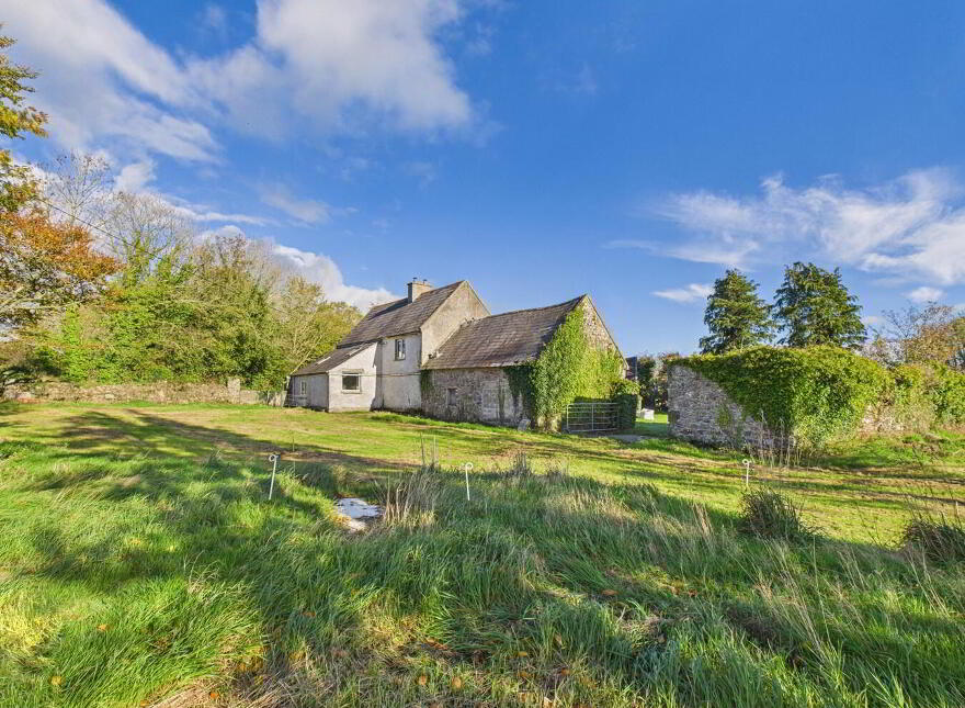 Ballygarret, Carrick On Suir, E32P799
