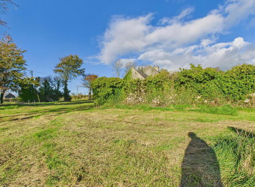 Ballygarret, Carrick On Suir, E32P799
