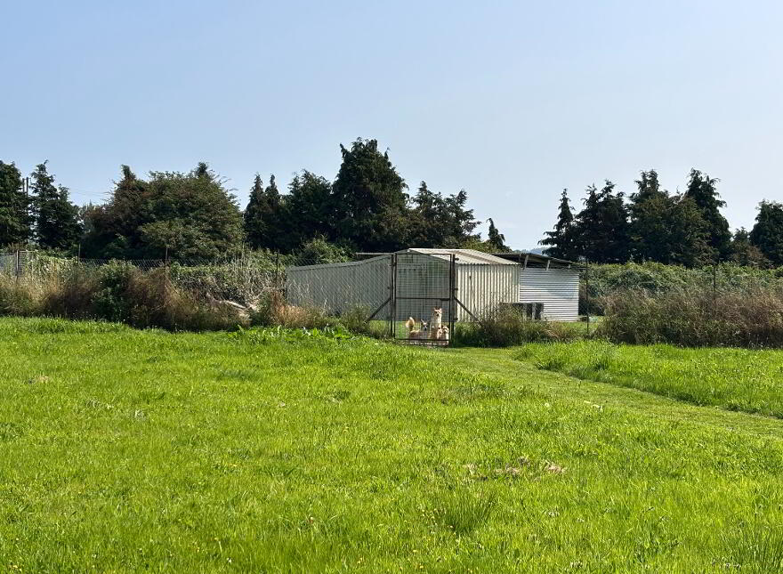 Lissane, Clarecastle, Ennis, Co.clare, V95N2X0