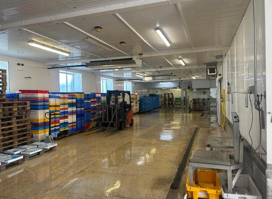 Standalone Warehouse & Distribution Unit, 11 The Harbour, Kilkeel, Newry, BT34 4AX