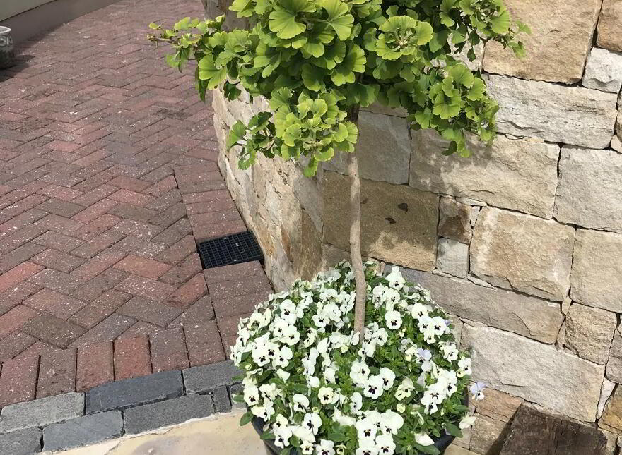 "Two Trees", 44 Bankmore Road, Omagh, BT79 0EU
