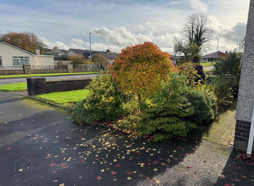 8 Birchgrove, Cookstown, BT80 8XR