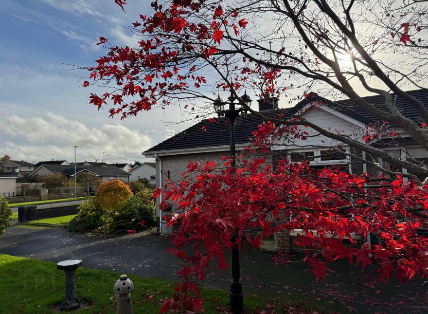 8 Birchgrove, Cookstown, BT80 8XR