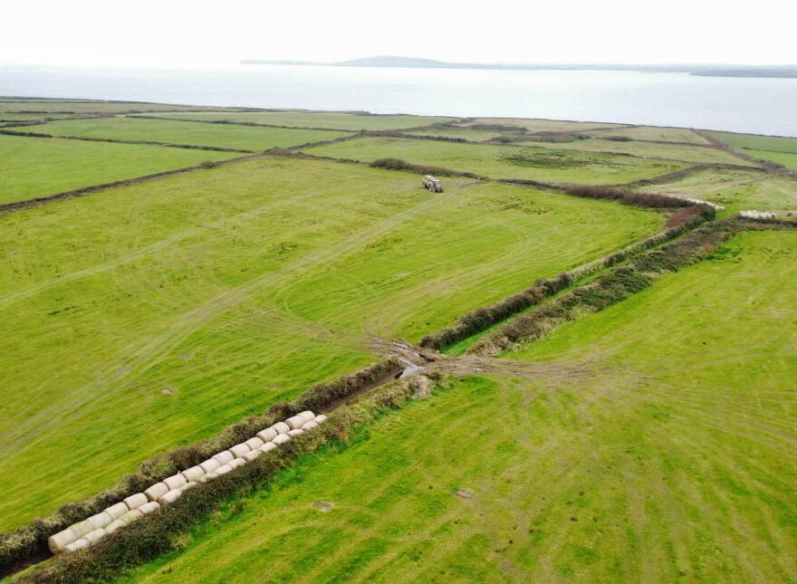 Farmland, Kilconly, Ballybunion