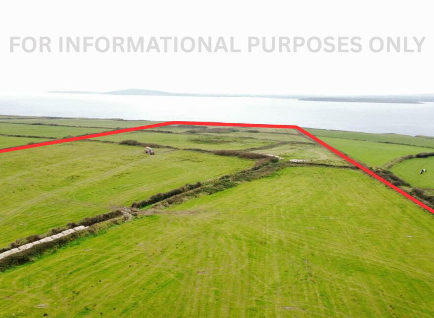 Farmland, Kilconly, Ballybunion