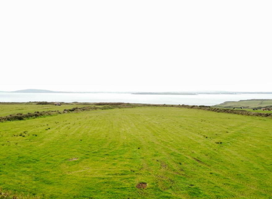 Farmland, Kilconly, Ballybunion