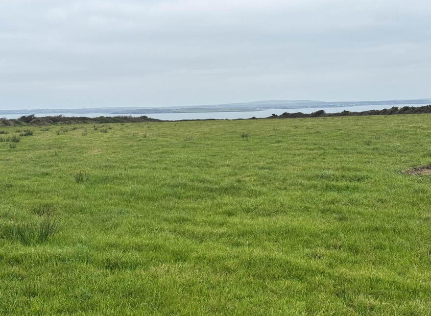 Farmland, Kilconly, Ballybunion