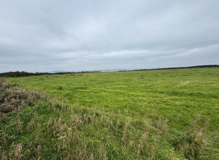 Farmland, Kilconly, Ballybunion
