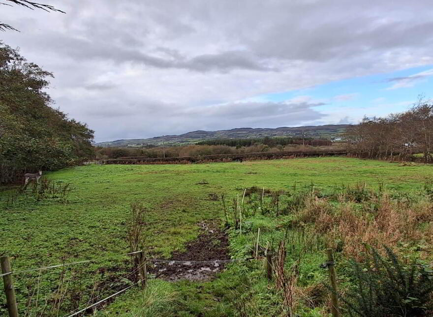 Drumaville, Malin, F93H7W7