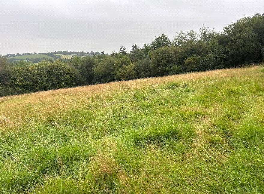 Carnteel, Aughnacloy, BT69 6DJ