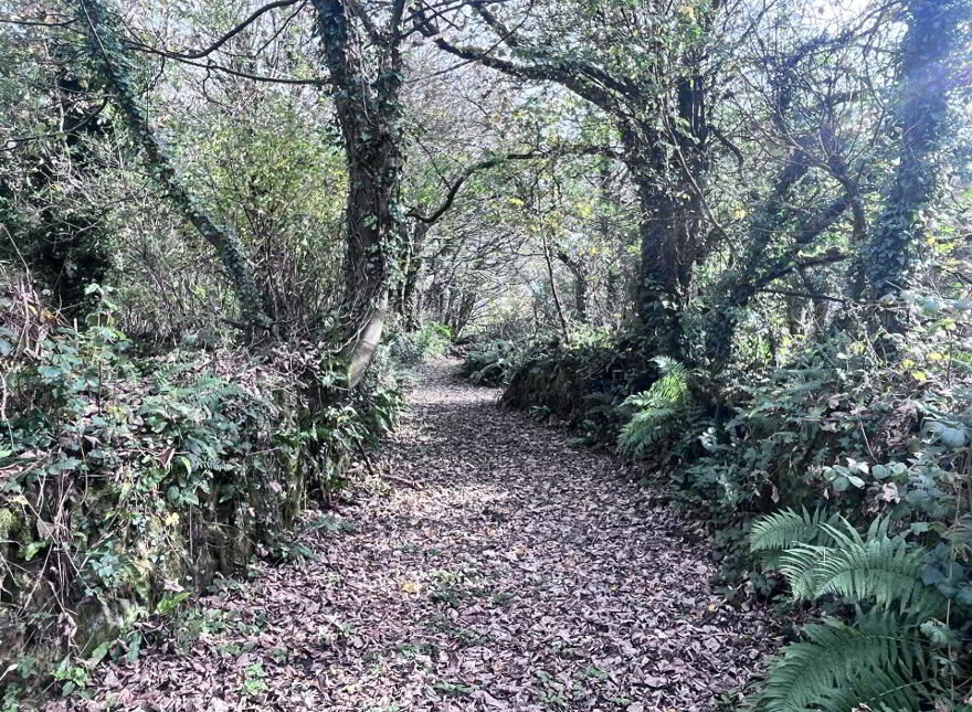 The Poets House, Cloncorban, Rossmore, Clonakilty, P85RY74