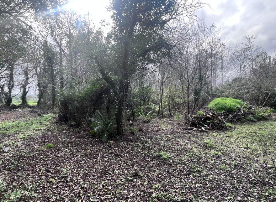 The Poets House, Cloncorban, Rossmore, Clonakilty, P85RY74