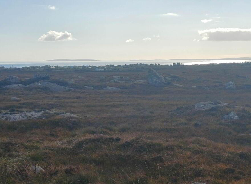 An Bothar Bui, Inverin, H91Y36P
