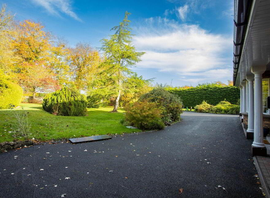 Hollyford, Vilanstown, Gainestown, Gainestown, N91HK51