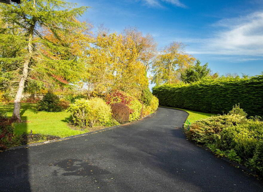 Hollyford, Vilanstown, Gainestown, Gainestown, N91HK51
