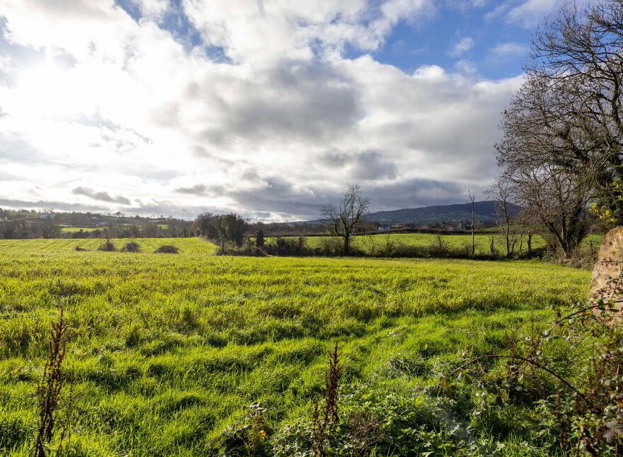 Ash Bank, 76 Tobermore Road, Magherafelt, BT45 5EJ