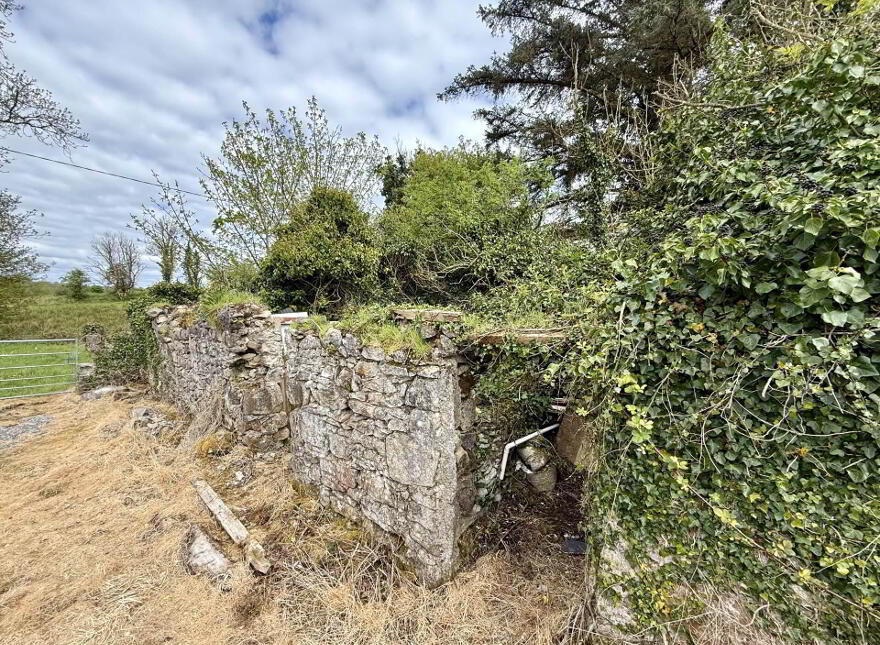 Cloontumper, Bekan, Claremorris, F12F8C7
