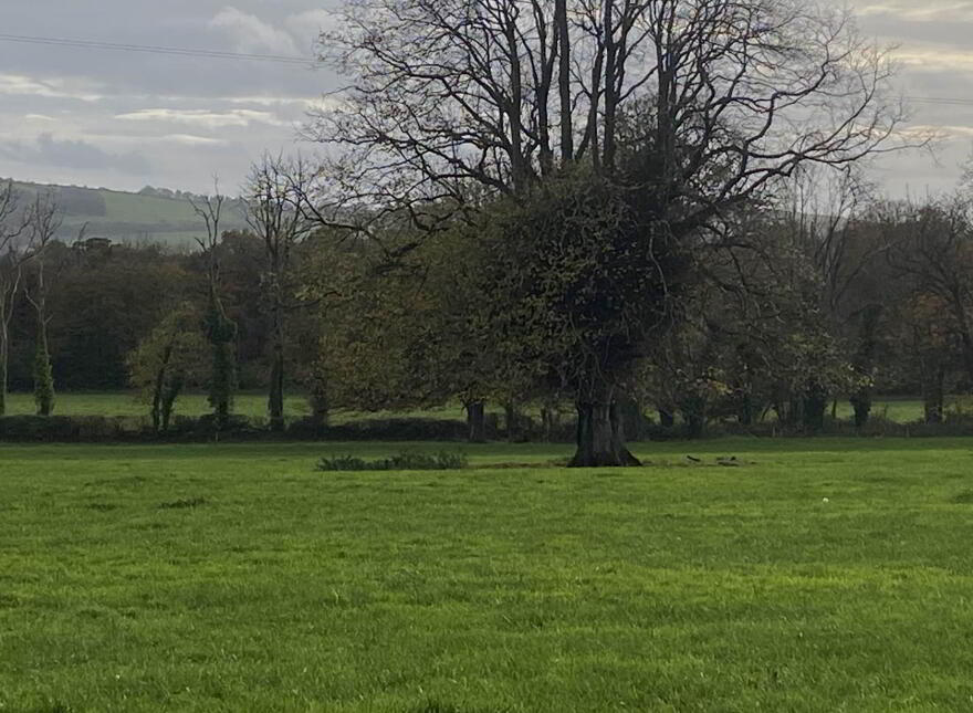 Ballynarooga, Ballingarry