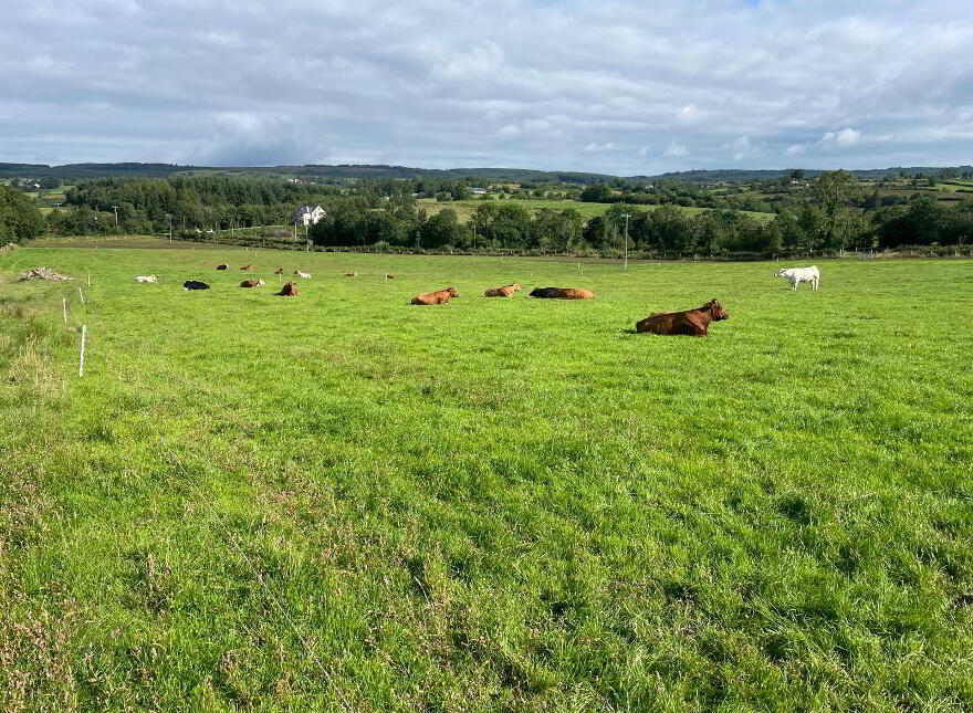 Eshnadarragh Road, Crockada, Roslea, BT92 7LA