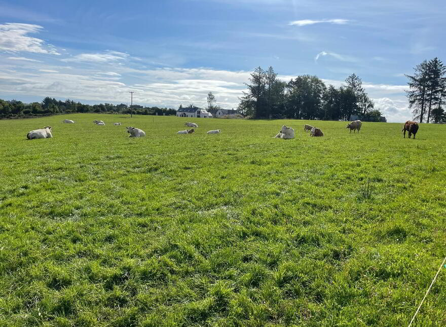 Eshnadarragh Road, Crockada, Roslea, BT92 7LA