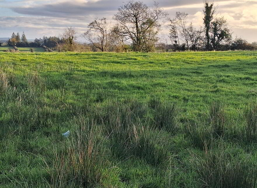 Eshnadarragh Road, Crockada, Roslea, BT92 7LA