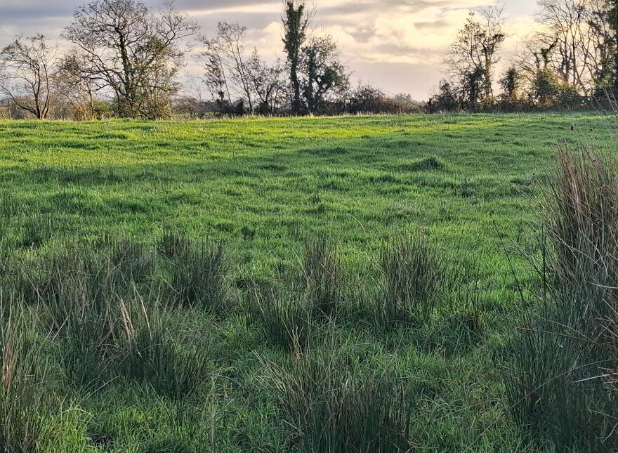 Eshnadarragh Road, Crockada, Roslea, BT92 7LA