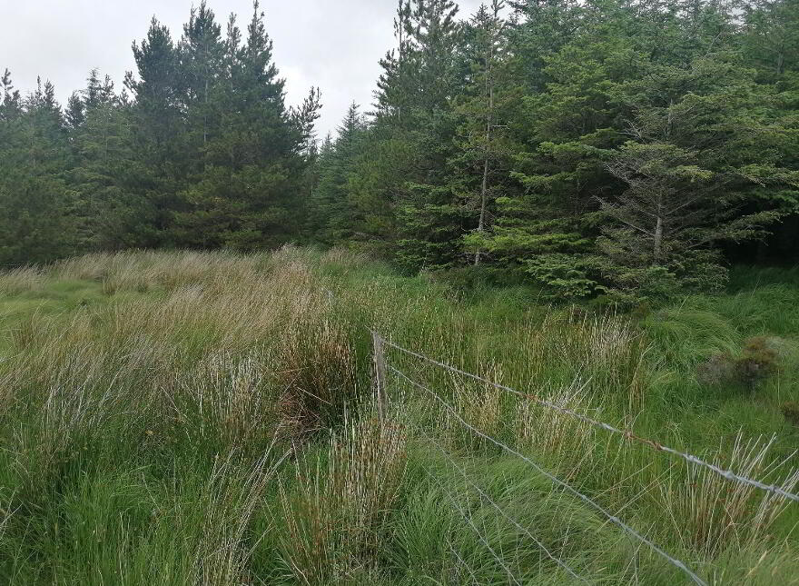 Forestry Lands, Stravally & Lagunna, Glencolumbcille