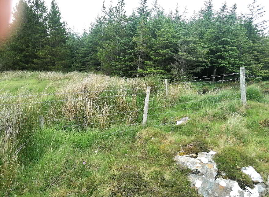 Forestry Lands, Stravally & Lagunna, Glencolumbcille