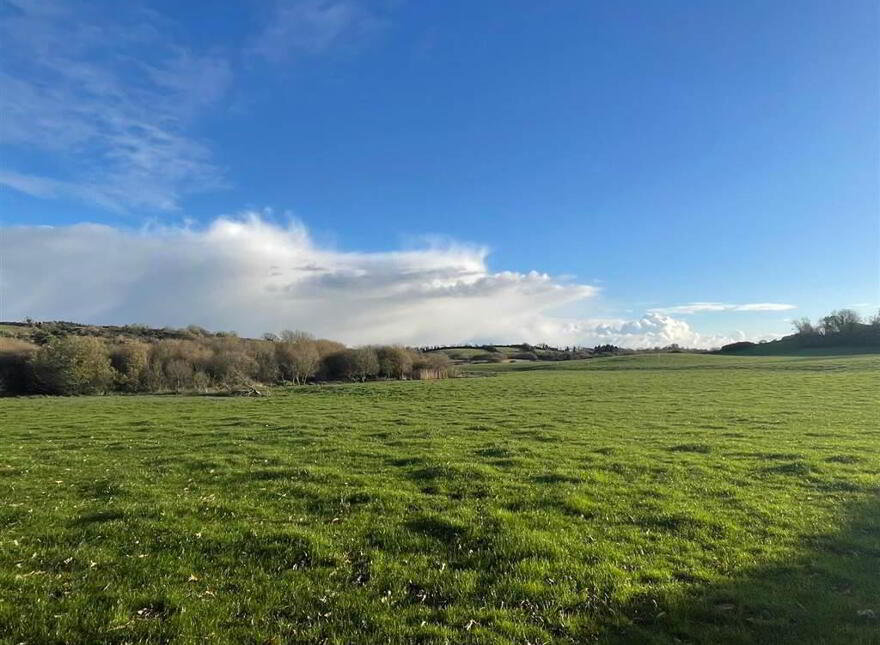 Site North East Of, 62 Drumgooland Road, Loughinisland, Downpatrick, BT30 8QL
