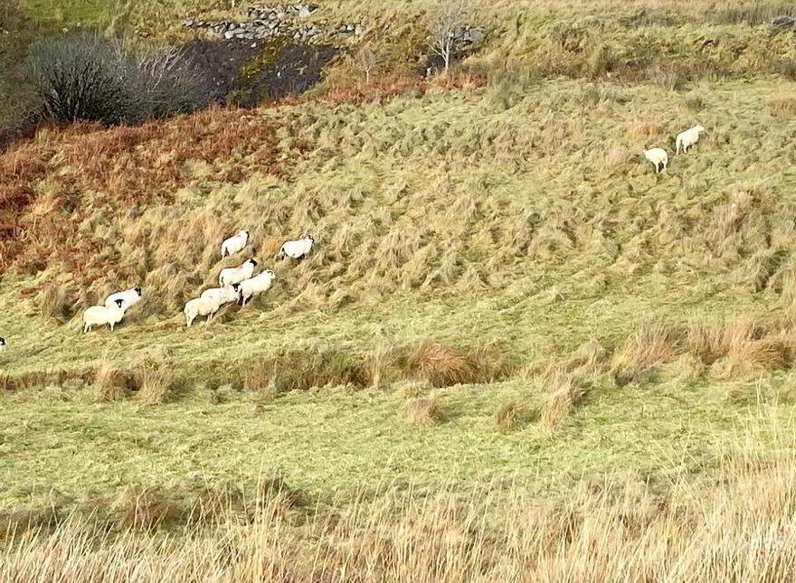 Tullyhoniver, Kilraine, Glenties, F94K0E6