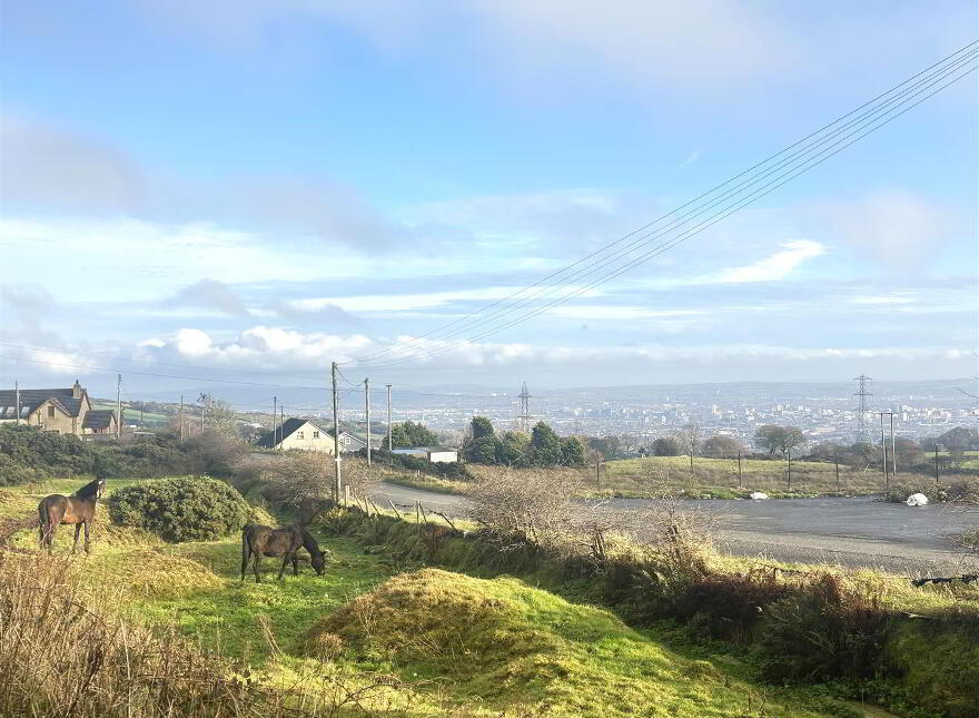 170 Ballyhill Road, Belfast, BT14 8SF