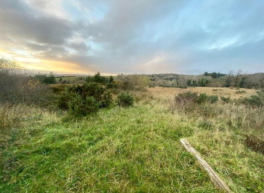 Drumbeagh, Mountcharles, F94DD56
