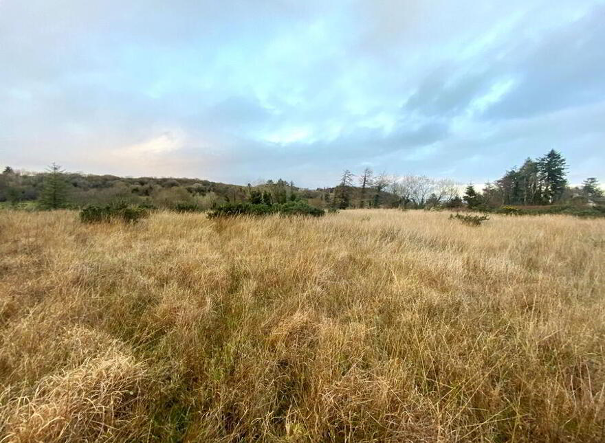 Drumbeagh, Mountcharles, F94DD56