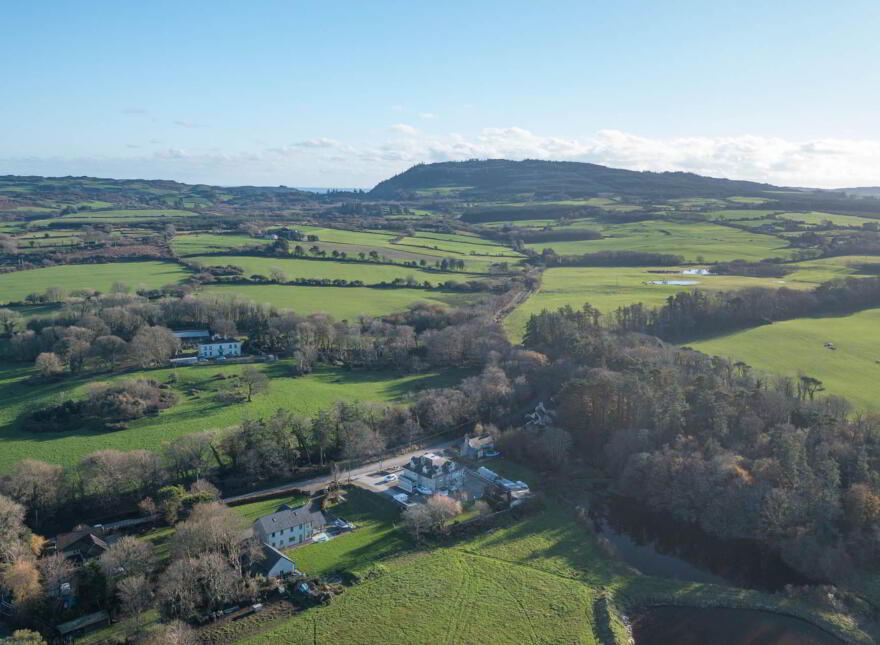 The Old Court Inn, Baltimore, P81VR66