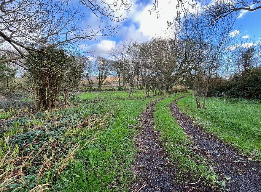 Lissacaha, Schull, Toormore, P81CF51