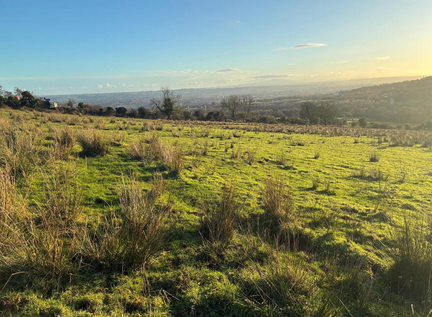 Upper Springfield Road, Hannahstown, Belfast, BT17 0LZ