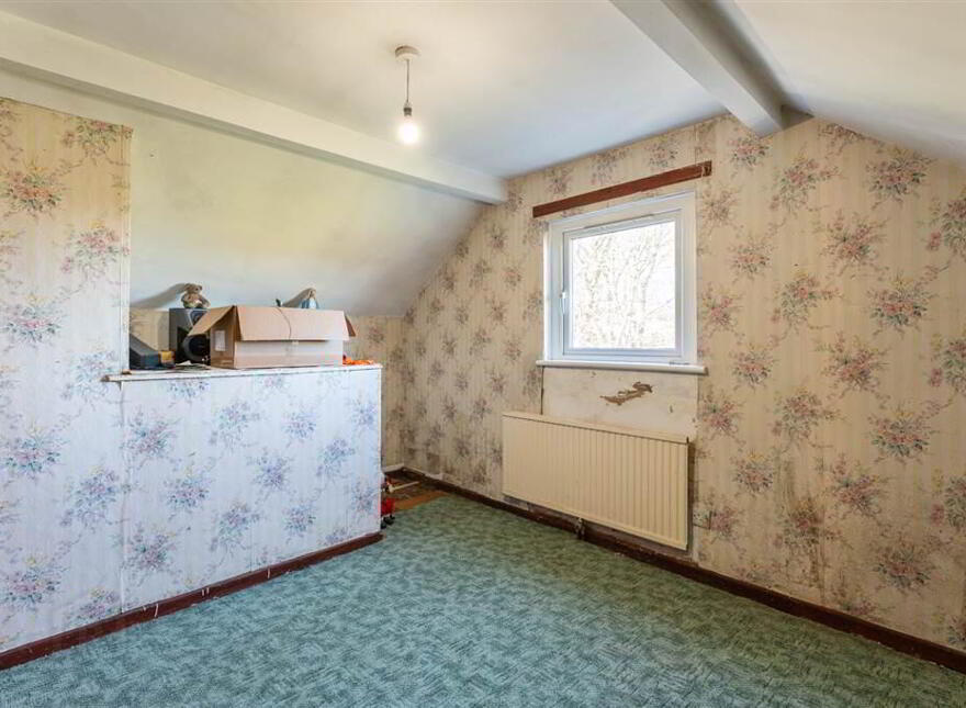 22 Ballydonnell Road, Downpatrick, BT30 8EP
