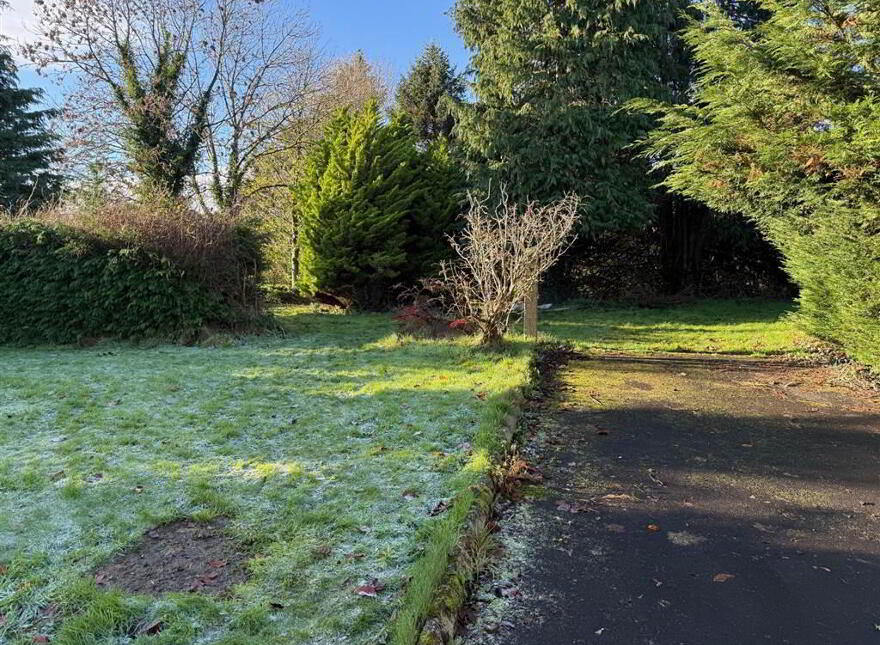 RESIDENTIAL DEVELOPMENT LAND, 41 Kinallen Road, Kinallen, BT25 2NW