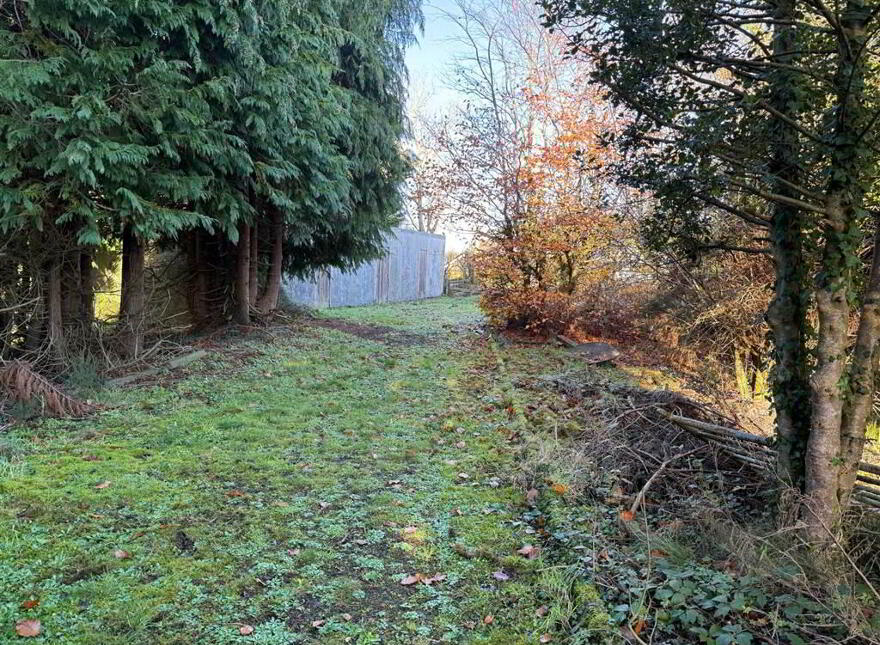 RESIDENTIAL DEVELOPMENT LAND, 41 Kinallen Road, Kinallen, BT25 2NW