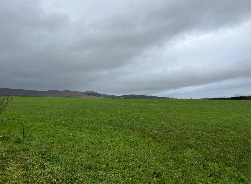 36 Acre Farm Holding With Bungalow + FPP Site, 27 Carrydarragh Roa...Magherafelt, BT45 7UF