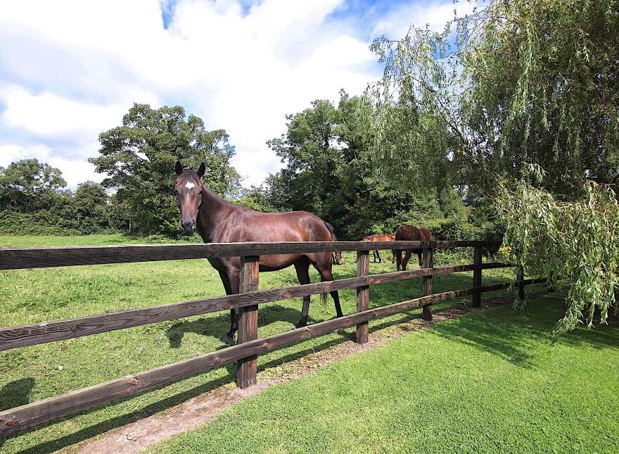 Piercetown, Kilcock, W23W9WC