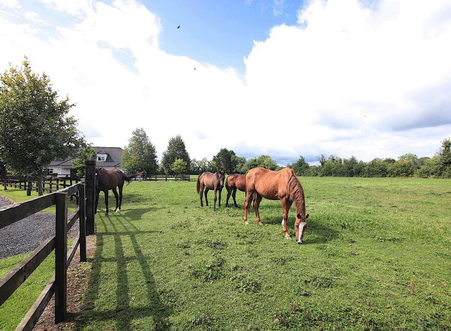 Piercetown, Kilcock, W23W9WC