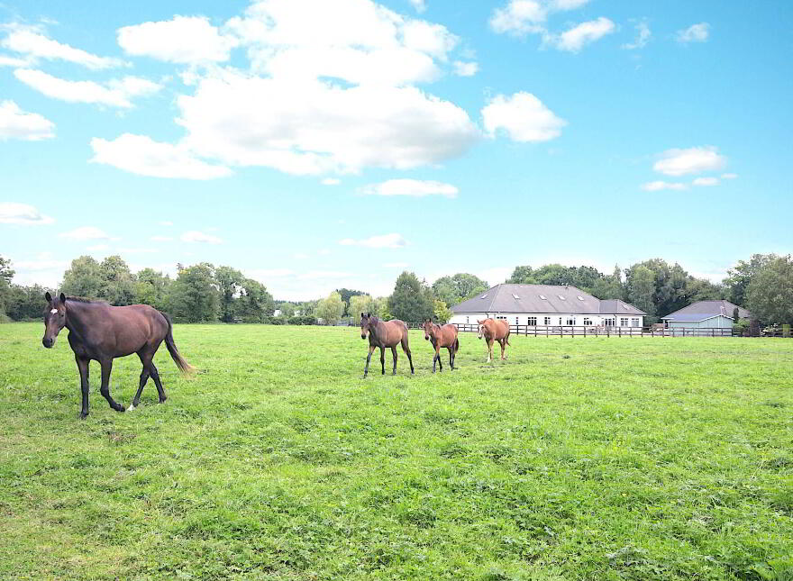 Piercetown, Kilcock, W23W9WC