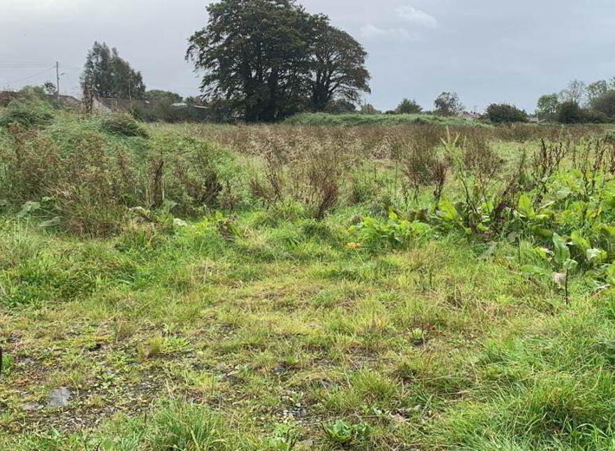 Building Site & Lands Totalling Approx 17 Acres, Near 12 Halftown Road, Lisburn, BT27 5RD