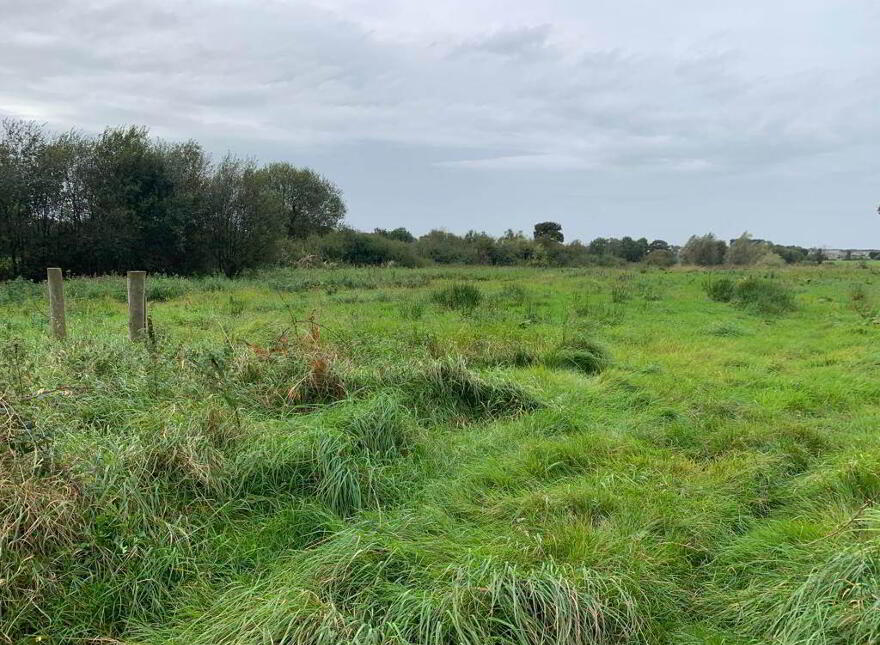 Building Site & Lands Totalling Approx 17 Acres, Near 12 Halftown Road, Lisburn, BT27 5RD