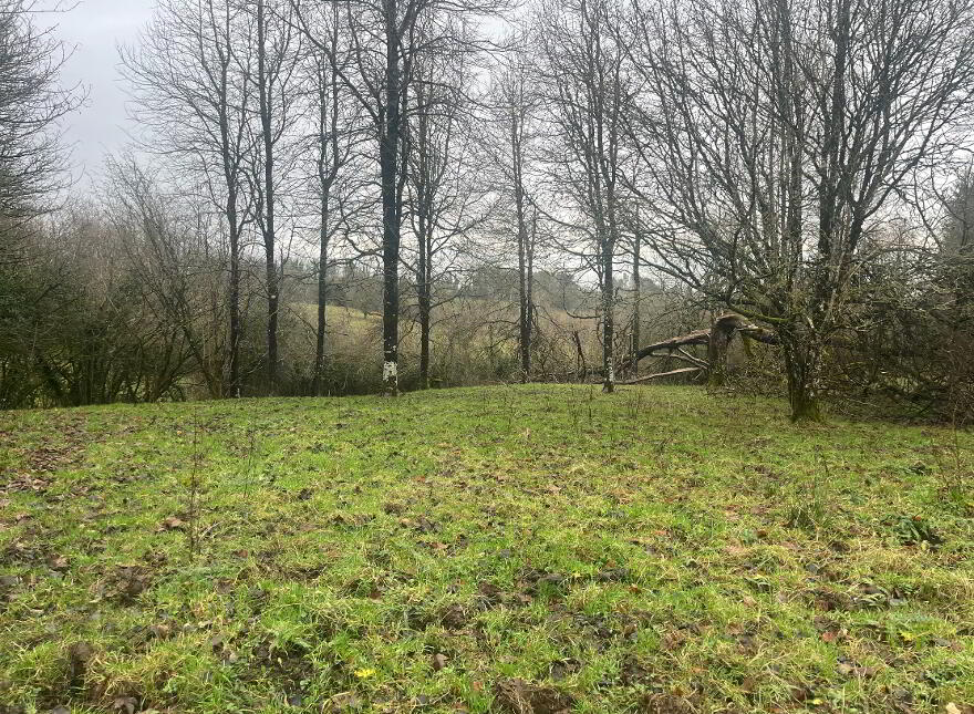 Lurgandarragh, Drummee Road, Enniskillen, BT74 5NZ
