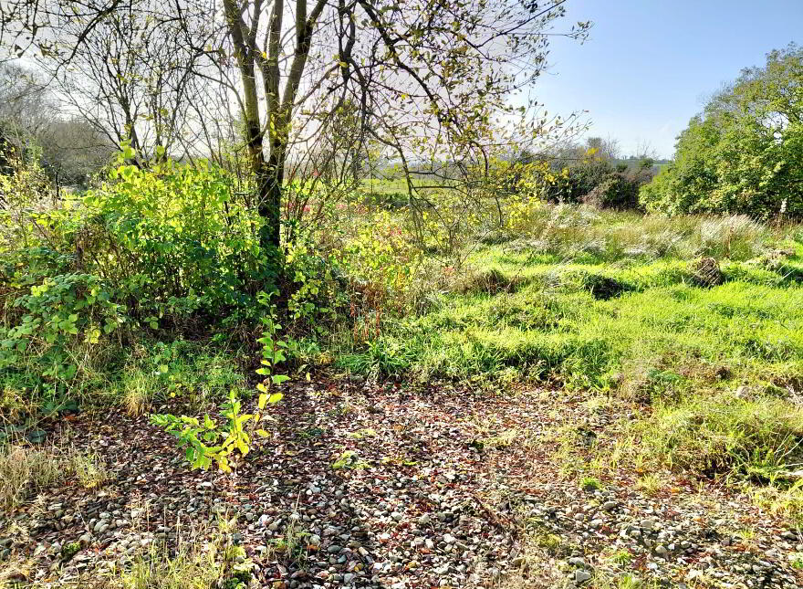 20 Tattynure Road, Omagh, BT79 7TP